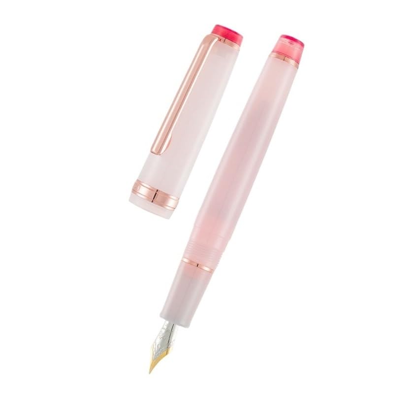 Stylo plume de poche or rose haute précision avec plume fine F modèle 02 exclusif