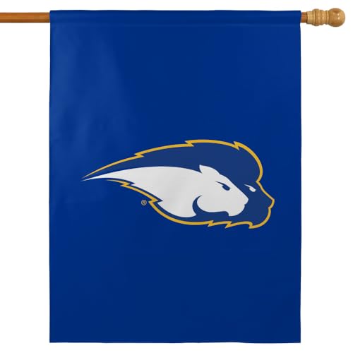Graphics & More Hofstra University Pride Primary Logo 30x40 Double-Sided Outdoor Flag – Durable Polyester Yard Banner for Porch, Garden, or Wall – Indoor/Outdoor