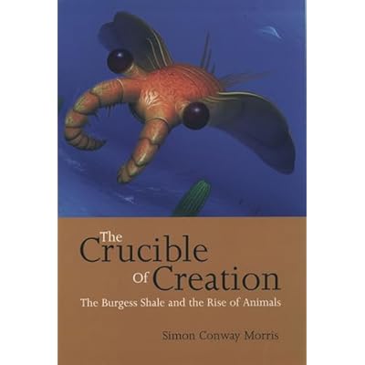 The Crucible of Creation