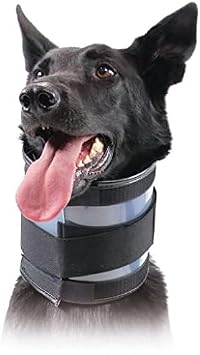 KVP Bite Free Collar Fits 11-15 Neck, 2.5 Width