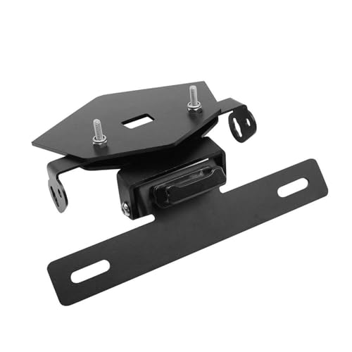 Support de plaque d'immatriculation BMW S1000R court accessoires moto 2022