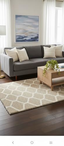 Image of Carpet for Hallway, Kitchen, and Modern InteriorsCarpetCozy Shag Runner for Living Room, Bedroom & Office Decor ETC Size 6x9 feet, Patten-Solid Beige M