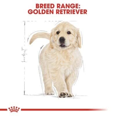 Royal Canin BHN Golden Retriever Puppy - Dry Puppy Food - 3kg