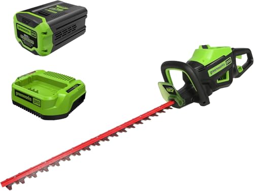 Greenworks Cortasetos inalámbrico GD60HT66K2, 60 V, longitud de corte de 66 cm, distancia entre dientes de 28 mm, mango ergonómico, con batería de 2 Ah y cargador