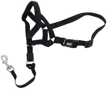 Coastal Pet Walk 'n Train Dog Head Halter - Gentle Leader for Dogs - No-Pull Dog Harness - Quick-Drying Polyester - Black - Small