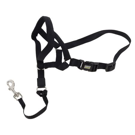 Coastal Pet Walk 'N Train Dog Head Halter - Gentle Leader For Dogs - No-Pull Dog Harness - Quick-Drying Polyester - Black - Small #TOP3