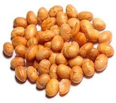 BAYSIDE CANDY Roasted Soybeans Unsalted - Soy Nuts - Soya Beans (5LB)