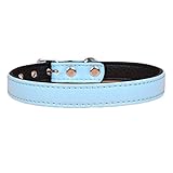 Leicht zu waschen und zu reinigen Unsere Hundehalsband für Haustiere sind perfekt für den täglichen Gebrauch.