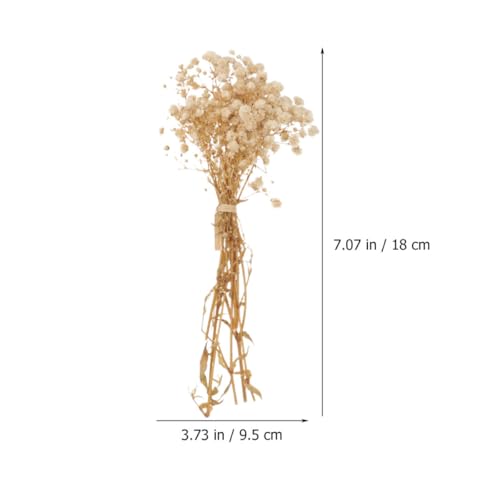 Ramo de flores secas Babysbreath 10 ramos 12cm natural miniatura 2