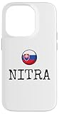 Nitra City Slovakia Vacation Toddler Kids Travel