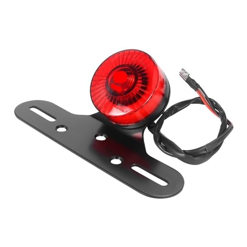 Luz trasera de motocicleta con freno y soporte de matrícula para XL883 y XL1200