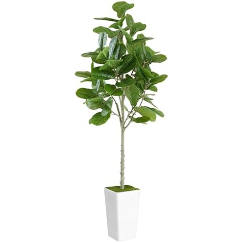 ProDeco Artificial Fiddle Leaf Fig Tree 6ft - Realistic Tall Fake Plants for Office Home Living Room Bedroom Decor Indoor Outdoor - Green Large Silk Faux Floor Plant with Pot Cover