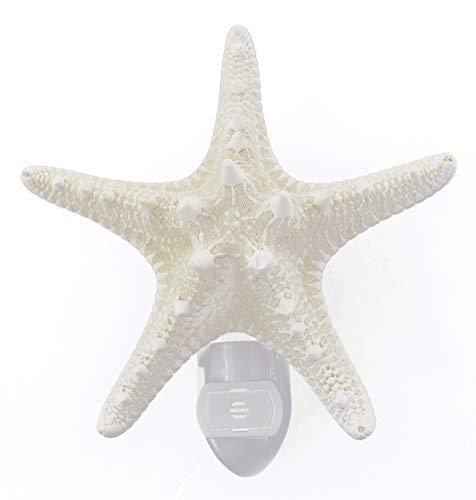 Florida Shells And Gifts Inc. ND9086 Seashell Night Light Real White Starfish Beach Decor W. Light Sensor Beautiful Coastal Cottage cover