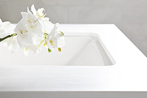 Kohler K-5400-0 Iron Plains Dual-Mount Bathroom Sink, White #TOP5