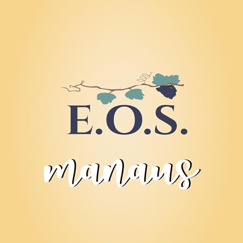 O Evangelho segundo o Espiritismo - Allan Kardec Podcast Por EOS Manaus arte de portada