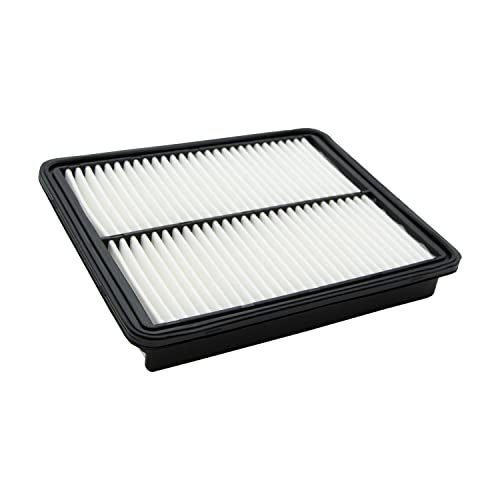 Ecogard XA6124 Air Filter