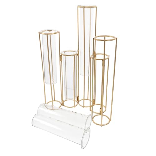 Vaguelly Jarrón Hidropónico Giratorio De 5 Tubos De Vidrio Tubular Transparente con Soporte De Hierro para Decoración De Oficina y Salón, Maceta Hidropónica Flexible para Plantas y Flores