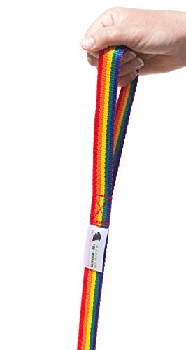 200 FT Rainbow Hund Training führen