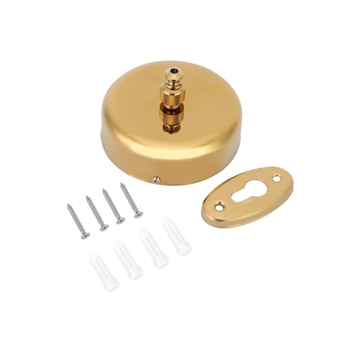 Retractable Clothesline, 304 Stainless Steel Heavy Duty Shower Clothesline Clothes Line Wall Mounted Retractable Laundry Line Laundry Accessories(Gold)