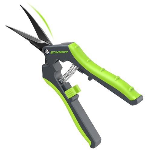 6.5" Pruning Shears for Gardening, Sharp Plant Trimming Scissors for Precise Cuts, Stainless Steel Garden Scissors Bonsai Clippers (1-Pack Curved)