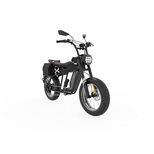 Hover-1 Altai Pro R750 Electric Bicycle with 28 mph Max Speed, 750W Motor, Average Range of 55 Miles, and Accessories