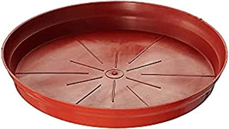 PlantaZee Gamla Tray Bottom Tray for Plant pots Planter Bottom Plate Plastic Bottom Drip Tray (Size-10 inches, Color : Brown, Pack of 6) (B09MS67FQT) Amazon Price History, Amazon Price Tracker