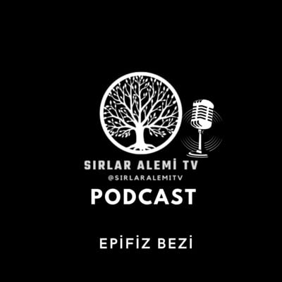 Bu Podcast Hayata Bakışınızı Değiştirecek! Epifiz Bezi Hakkındaki Herşey ve Dinimizin Bu Beze Verdiği &Ouml;nem