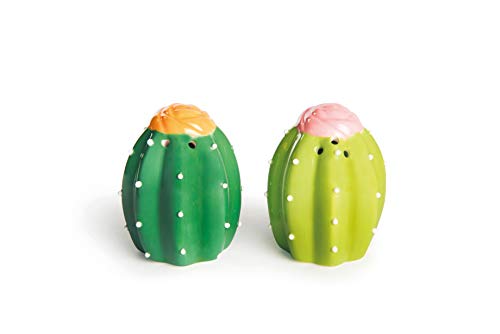 Excelsa Cactus Salt and Pepper Set, keramiek, groen, 2 stuks