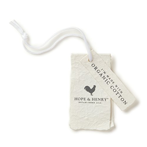 Image of Hope & Henry Boys' Hooded Pullover Sweater