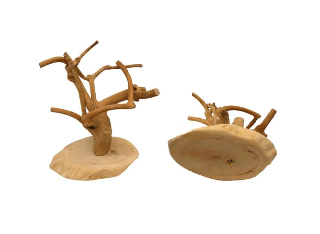 Arbol de Java AVA AVA Mini Tree, Coffeewood Base-XS