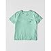 Carhartt Women's Irvine Relaxed T-Shirt, Fresh Mint, 2X