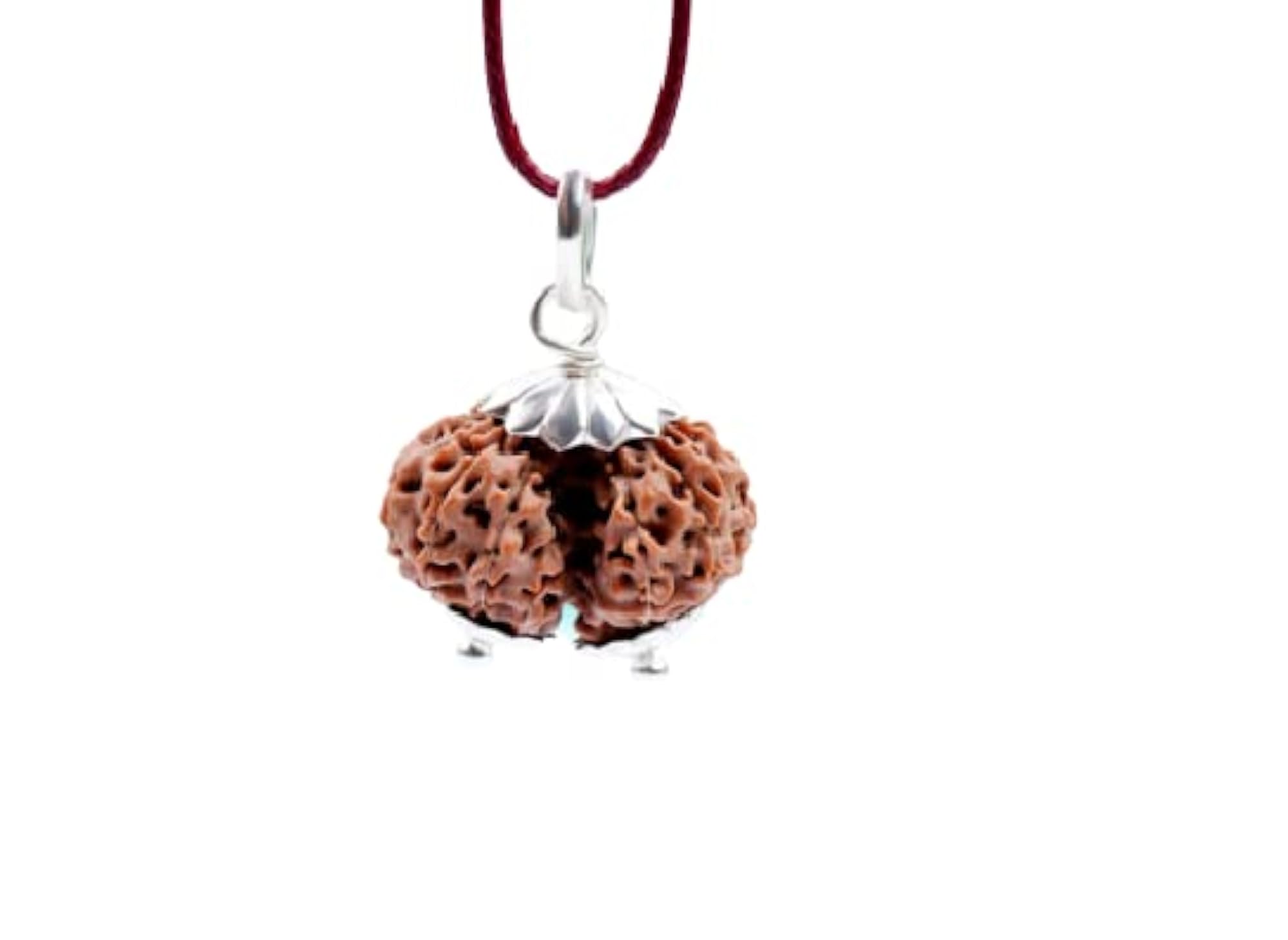 Natural Gauri Shankar Rudraksha Beads, Certified