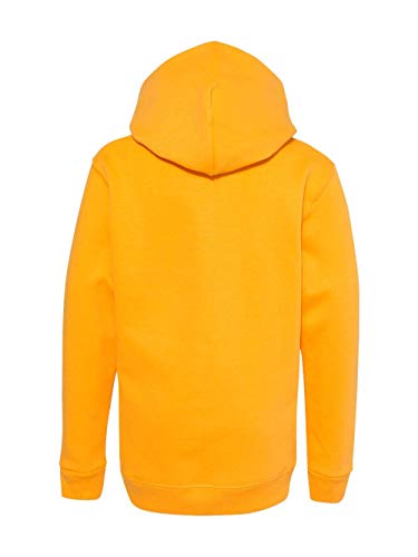 Youth EcoSmart Hooded Sweatshirt by Hanes3