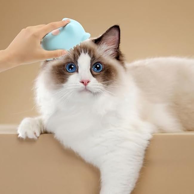 Cat Steam Brush, 3 in 1 Cat Steamy Brush for Shedding Grooming Brush With Steam, Rechargeable Silicone Pet Brush for Cat Dog Shedding, Massage, and Clean Comb -Little Blue-QSfUZeUG