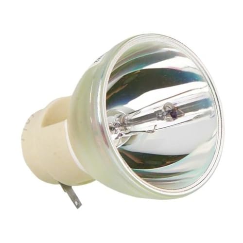 Ampoule de projecteur Acer MC.JH211.002 pour vos soirées cinéma sur P7305W