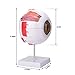 Human Eye Anatomy Model 6X Enlarged, Anatomical Eyeball Model with Removable Stand, Eye Model for Science Classroom Study Display Medical Education