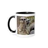 3dRose Meerkats, Louisville Zoo, Louisville, Kentucky - US18 AJE0298 - Adam Jones 11oz Two-Tone Black Mug