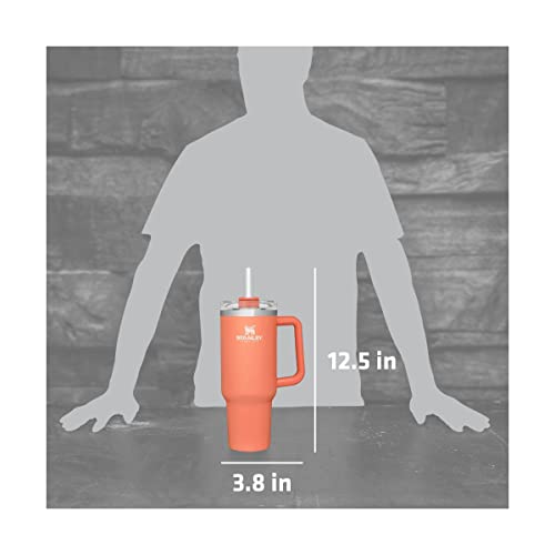 Image of STANLEY The Big Grip Travel Quencher Grapefruit, 1 EA