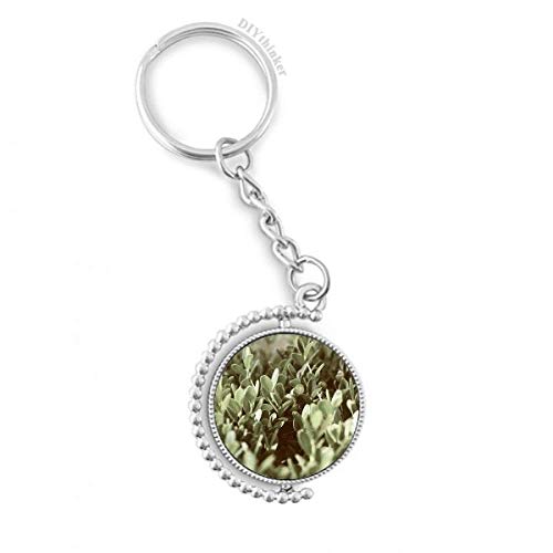 Llavero giratoria hojas de planta sol imagen naturaleza anillo Pilgrim