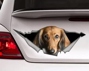 Miniatura 5 de Calcomanía blanca de Chihuahua, calcomanía de coche de Chihuahua, calcomanía para mascotas, calcomanía de perro, calcomanía de vinilo para perro,