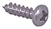 Handi Man Marine Co B-607 Phillips Pan Head Stainless Steel Screws - #8 X 2