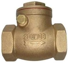 6VDT8 Swing Check Valve, 2 In, FNPT, Brass