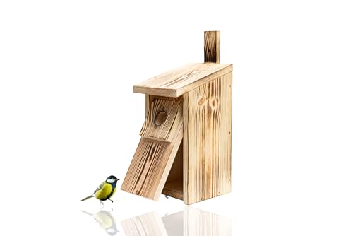 WOODYGIFT Nistkasten für Vögel für draußen wetterfest – Massives Vogelhaus aus Holz zum Aufhängen – Sicherer Brutkasten für Meisen & Spatzen mit 32 mm Einflugloch WOODYGIFT Nistkasten für Vögel für draußen wetterfest – Massives Vogelhaus aus Holz zum Aufhängen – Sicherer Brutkasten für Meisen & Spatzen mit 32 mm Einflugloch