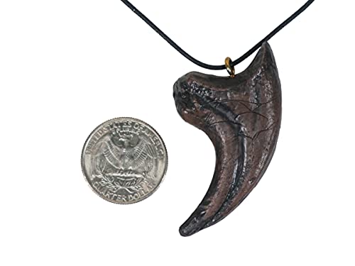 adults Velociraptor Dinosaur Claw Pendant Necklace (344-2)3