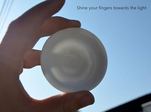 Image of Liang baobao Chinese Traditional Tea Tasting Cup Set of 4, 2oz Bule and White Porcelain Mini Cups for Gongfu Tea Ceremony (landscape)