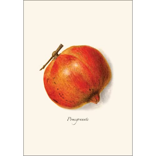 Image of Earth Sky + Water - Pomegranate Assortment Notecard Set - 8 Blank Cards with Envelopes (4 each of 2 styles)