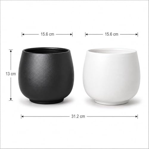 Image of Xtore 2 Pc Graceful Matte Ceramic Planter Pot for Indoor Plants & Bonsai Display | Minimal Rounded Tabletop Planter for Living Room, Desk & Window Styling (White& Black, Planters only)