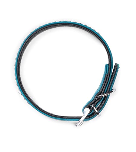 Hundehalsband aus Echt-Leder mit Strasssteinen/Kristall besetzt – funkelndes Hunde und Katzen Halsband aus gepolsterten und doppellagigen Büffelleder - Lederhalsband Audrey (S (20.0-27.5cm), Türkis)
