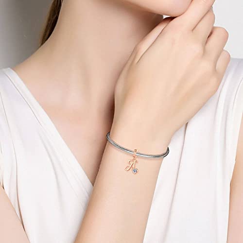 VALGACLS 925 Sterling Silver Family Love Mom Mouse Heart Charms for Bracelets Necklace Valentine's Day Mother's Day Jewelry Gift for Womens Girls