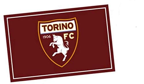 Giemme t1206 bandiera 90x140 toro